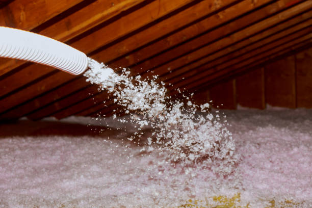 Best Insulation Maintenance and Repair in San Bernardino, CA