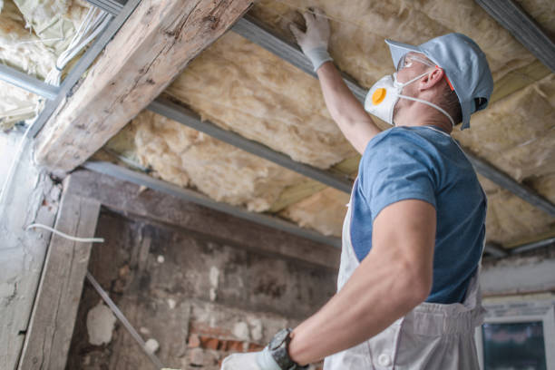 Best Residential Insulation in San Bernardino, CA